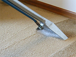 carpet cleaning houston